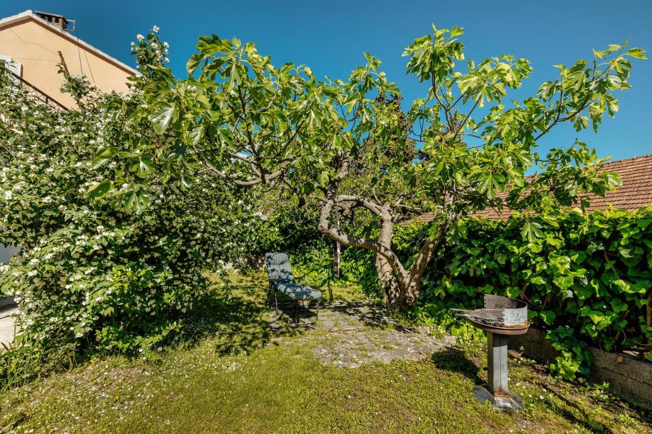 Green Garden Apartments Herceg Novi Dış mekan fotoğraf