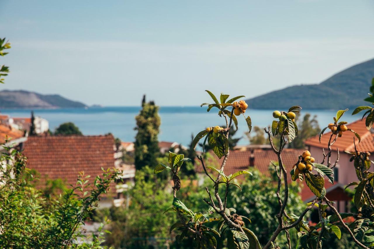 Green Garden Apartments Herceg Novi Dış mekan fotoğraf